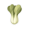 Bok Choy